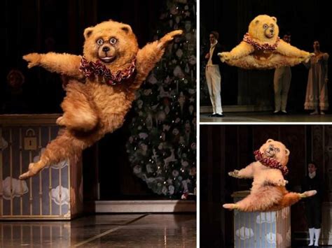 95K Dancing Bear videos here. . The dancing bear xxx